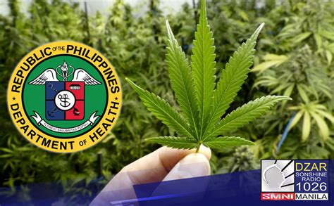 chochongke meaning|Paggamit ng marijuana for medical use, posible kaya sa.